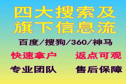 某某SEM团队成功案例：广告投放策略揭秘